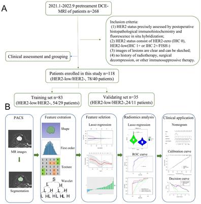 Preliminary study on DCE-MRI radiomics analysis for differentiation of HER2-low and HER2-zero breast cancer